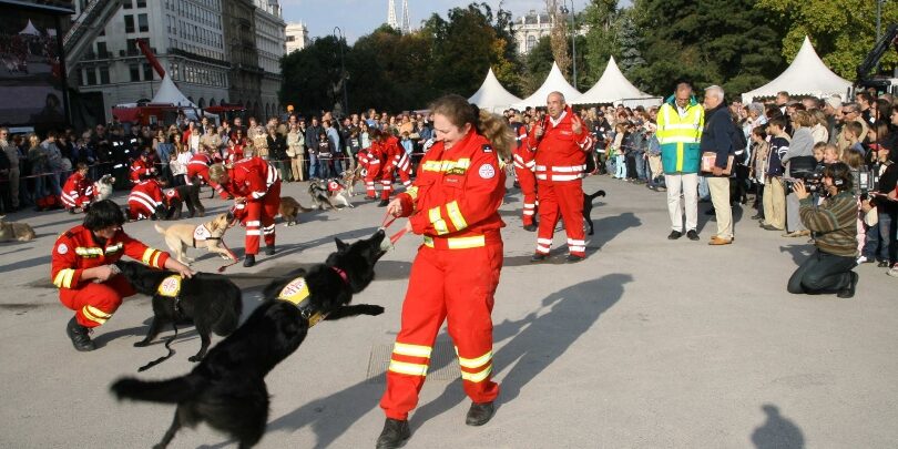 Personen mit Hunden Einsatzkräfte