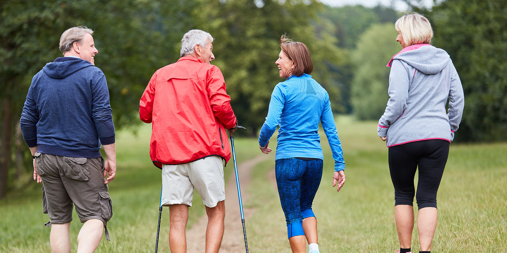 Rückenansicht von vier Personen beim Spazieren auf einem Wiesen- bzw. Spazierweg. Eine Person davon mit Nordic Walking-Stöcken.