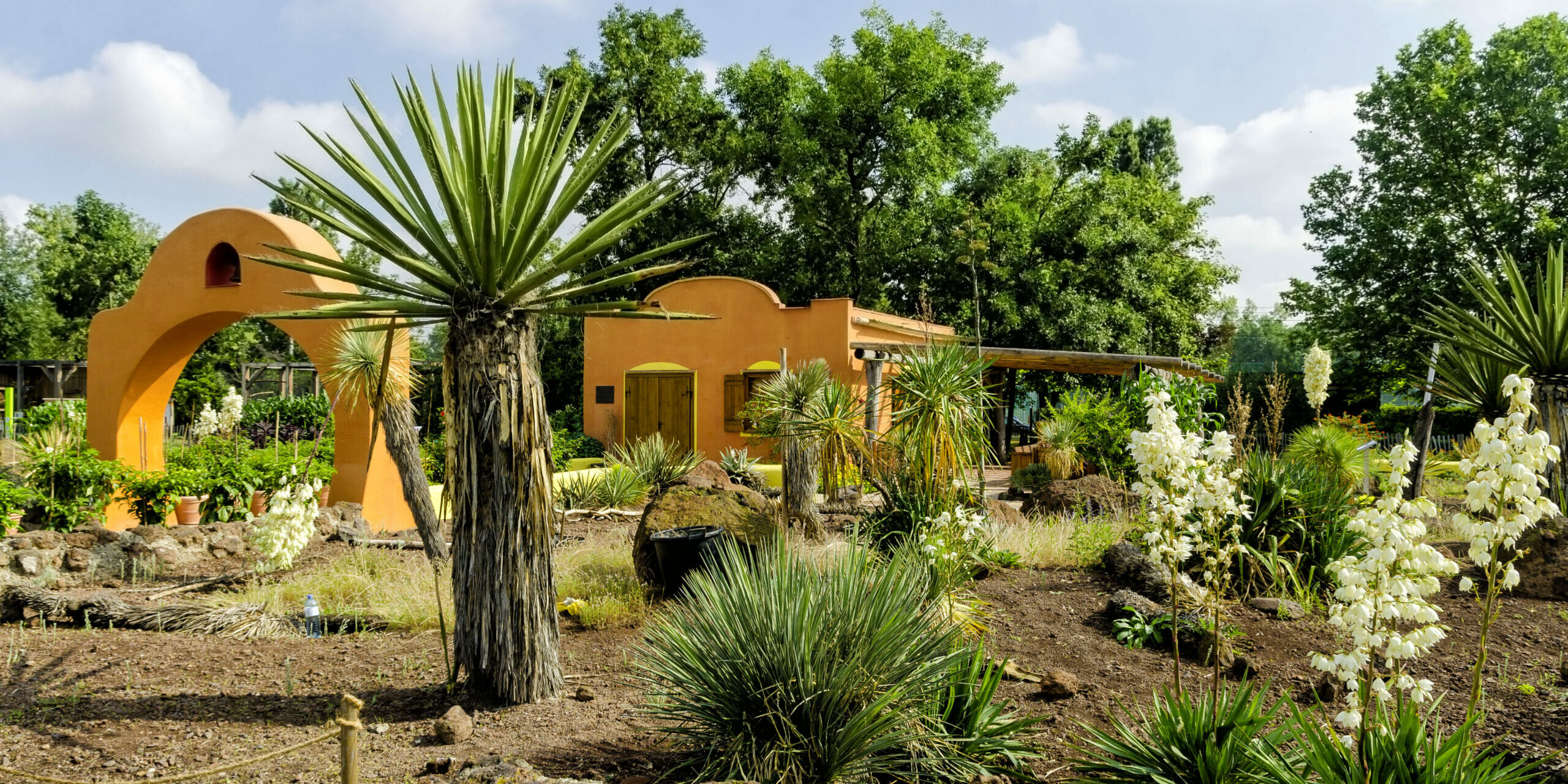 Garten mit Palme und orangenem Haus