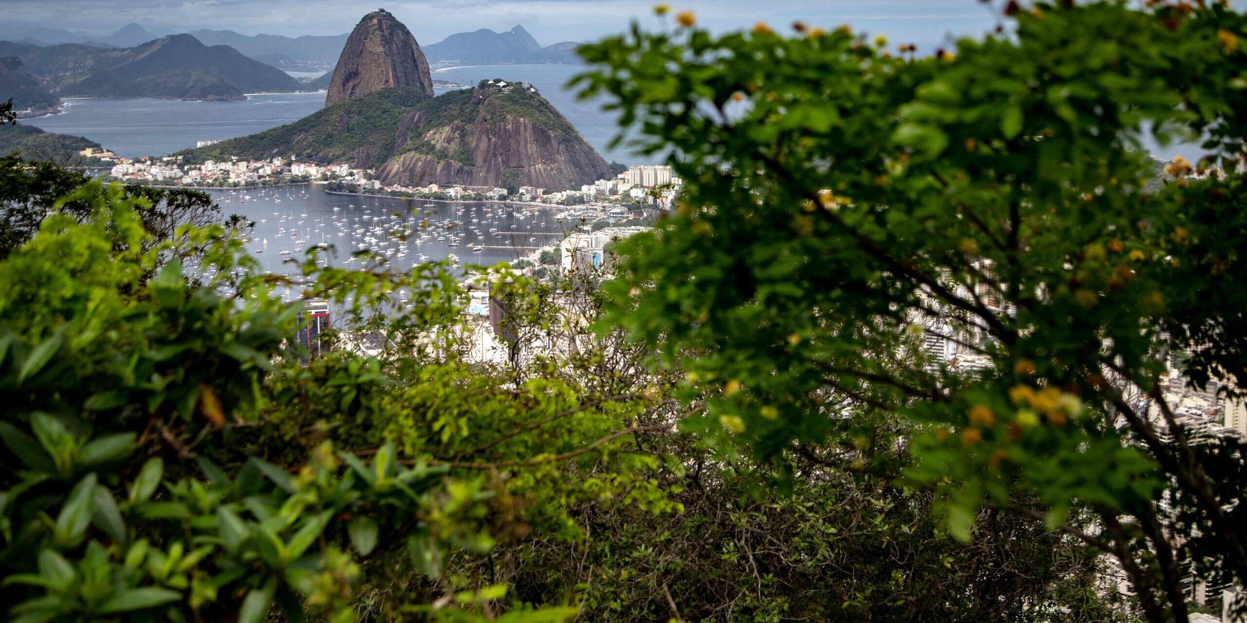 Brasilien Strand und Dschungel